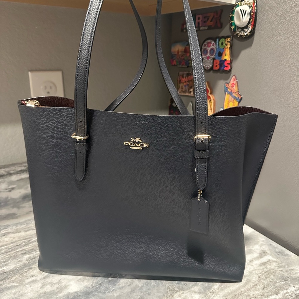 Coach Mollie Tote Bag